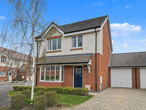 Photo 17- click for photo gallery